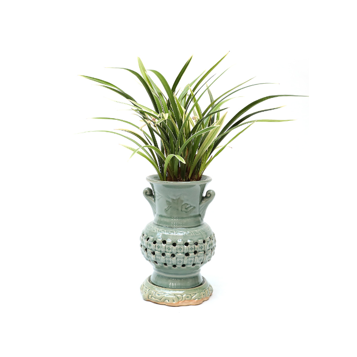 승진,취임 동양란